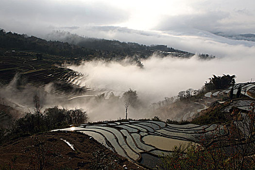 云南元阳梯田