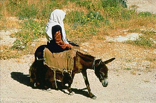 侧面,女孩,骑,驴,以色列