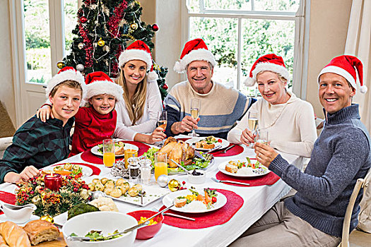 微笑,家庭,圣诞帽,祝酒,看镜头