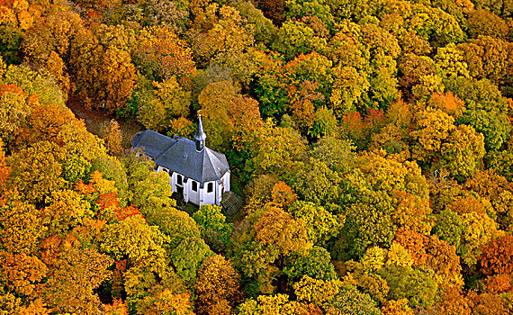 小教堂,教堂,宗教,秋日树林,北莱茵威斯特伐利亚,德国,欧洲