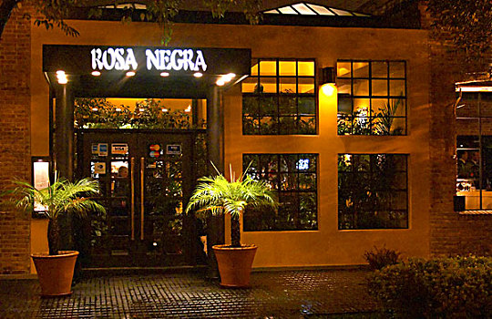 入口,餐馆,两个,棕榈树,霓虹标识,粉色,黑色,玫瑰,布宜诺斯艾利斯,阿根廷,南美
