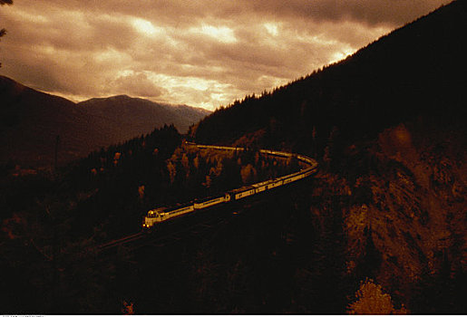 列车,轨道,树,日落,靠近,不列颠哥伦比亚省,加拿大