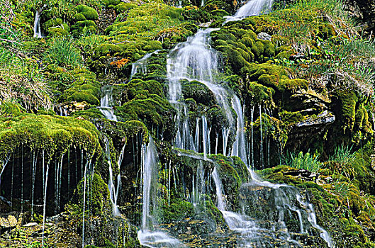 瀑布,佛罗伦国家公园,伽斯佩,魁北克,加拿大