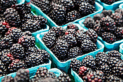 黑莓,纸板,扁篮,市场货摊