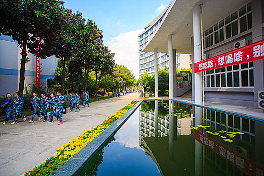 水,水面,水池