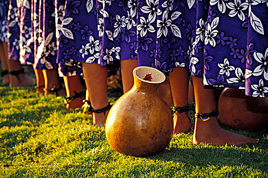 草裙舞,考艾岛,夏威夷