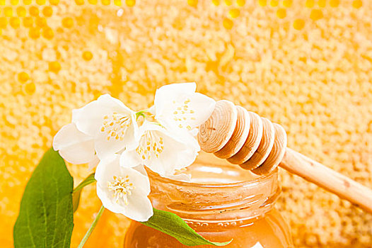 罐,蜂蜜,背景,蜂窝