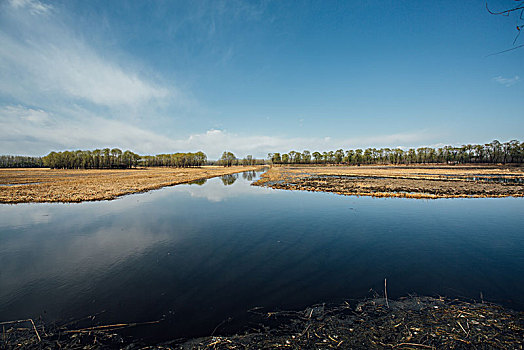 湿地