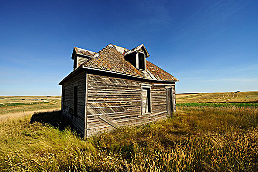 荒废,房子,草原,萨斯喀彻温,加拿大