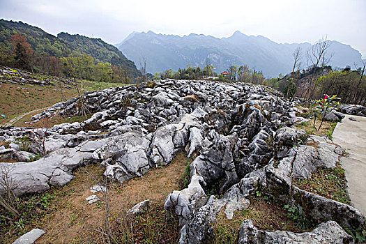 四川北川药王谷