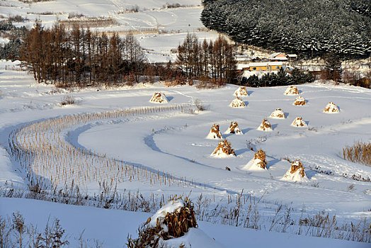 冬季吉林雪村-松岭美景如画