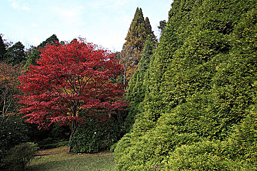 庐山植物园