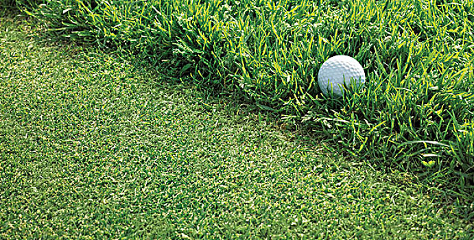 高尔夫球场,特写,球,高尔夫,比赛,草,草地,高尔夫球道,障碍,高尔夫球,运动,爱好,绿色
