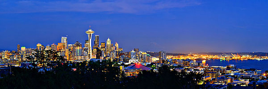 西雅图,城市天际线,夜晚,城市,写字楼,公园