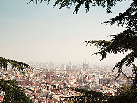 俯拍,城市,神圣家族教堂,天际线,巴塞罗那,西班牙