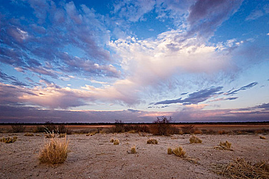 干燥,风景,黎明,卡拉哈迪大羚羊国家公园,博茨瓦纳
