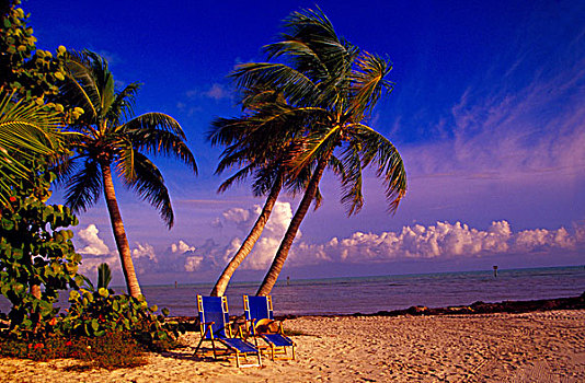 美国,佛罗里达,佛罗里达礁岛群,棕榈树,沙滩椅