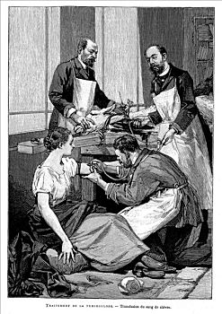 肺结核,病人,输液,血,1891年,艺术家,未知