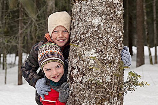 头像,高兴,男孩,后面,树干,雪,木头