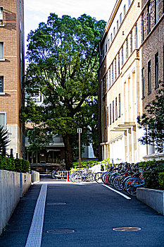 日本的大学
