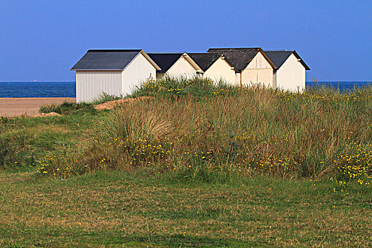 法国,苹果白兰地,海滩小屋