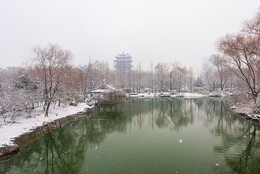 济南冬日雪景