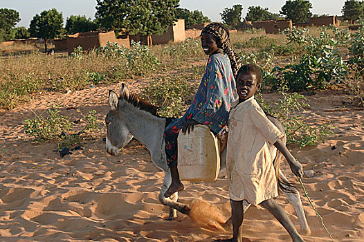 塑料制品,女孩,男孩,运输,水,驴,利雅得,露营,人,近郊,西部,达尔富尔,苏丹,十一月,2004年