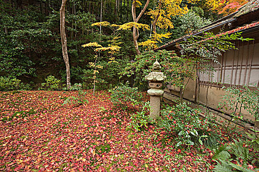 日式庭园,庙宇,京都,日本