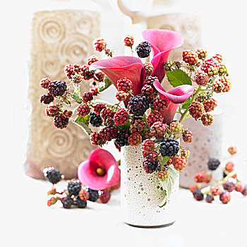 夏日花束,马蹄莲,红宝石,感觉,品种,黑莓