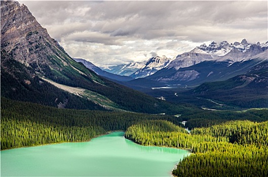 风景,佩多湖,山,加拿大