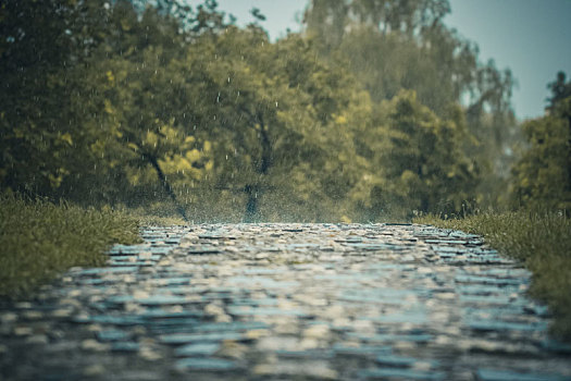 雨