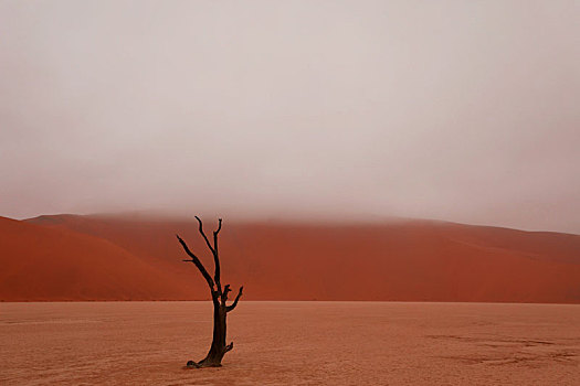 纳米比亚的死亡沙漠