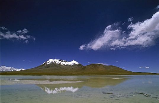 火山,秃鹫,南方,高原,波托西地区,玻利维亚