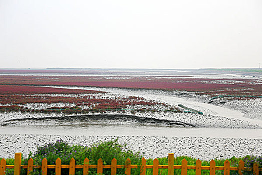 红海滩