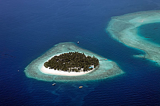 航拍,无人,岛屿,北方,马累环礁,印度洋,马尔代夫,亚洲