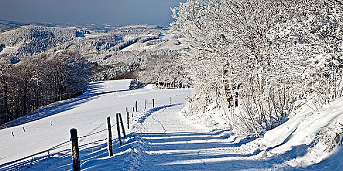 道路,冬季风景,藻厄兰,北莱茵威斯特伐利亚,德国,欧洲