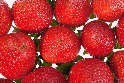 多,红色,草莓,隔绝,白色背景,背景