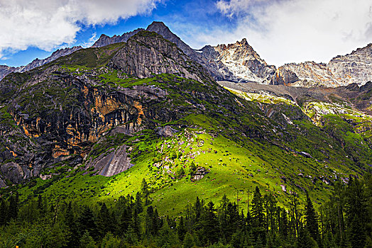 高高的山岗