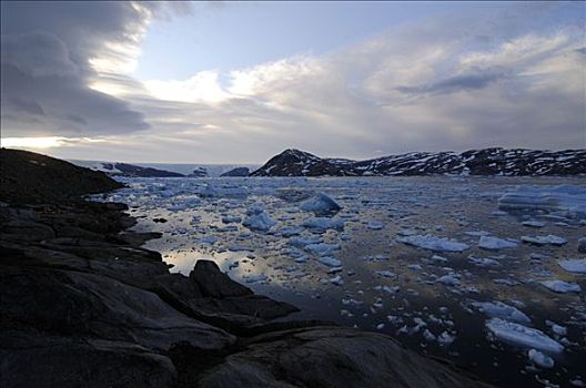 冰原,冰河,冰山,峡湾,东方,格陵兰