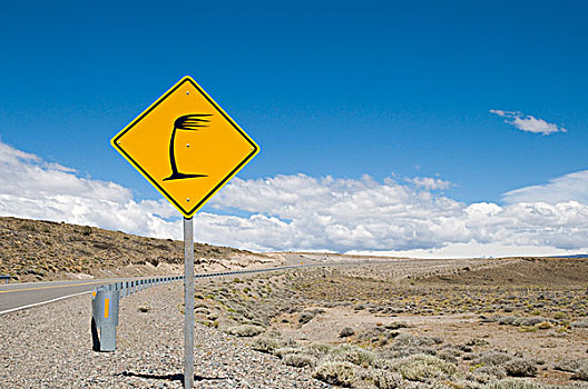 交通,道路,标识,小心,风,巴塔哥尼亚,阿根廷