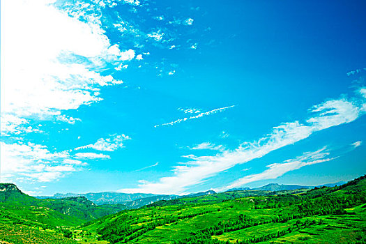 茂密,綠色,風景,藍天,云