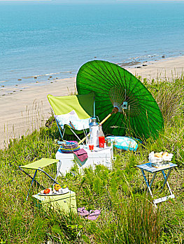野餐,海滩