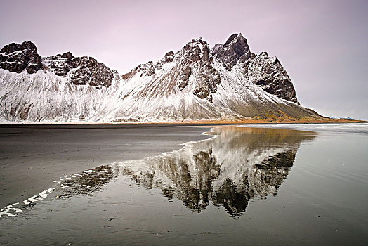 黑色,火山岩,海滩,东方,区域,冰岛,欧洲