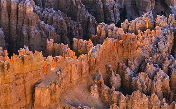 怪岩柱,石头,尖顶,峡谷,早晨,布莱斯峡谷国家公园,犹他,美国