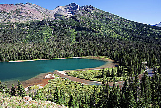 风景,冰河,小路,湖,许多,区域,冰川国家公园,落基山脉,蒙大拿,美国,北美