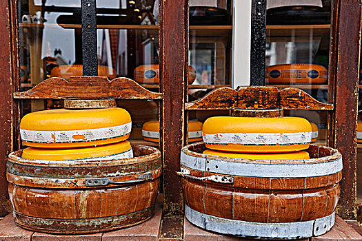 奶酪,轮子,按压,正面,乳酪店,省,北荷兰,荷兰,欧洲