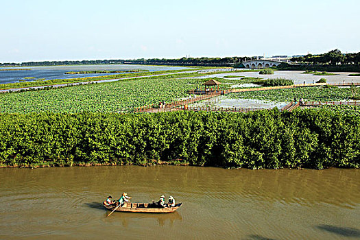 南沙湿地公园