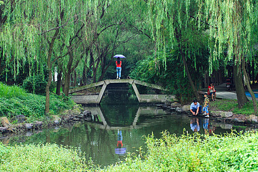 背影,看风景,女孩