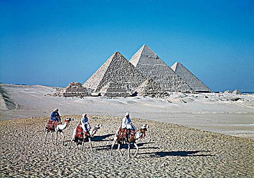 埃及,开罗,吉萨金字塔,人,骑,骆驼,背景