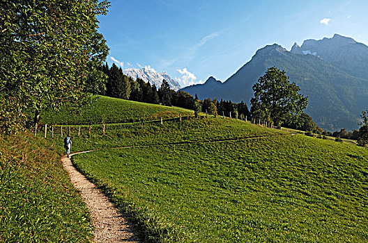 徒步旅行,远足者,高处,拉姆绍,山峦,西部,墙壁,山,瓦茨曼山,右边,上巴伐利亚,巴伐利亚,德国,欧洲
